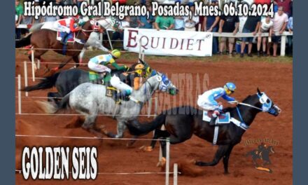 GOLDEN SEIS HIZO REALIDAD SU SUEÑO DORADO