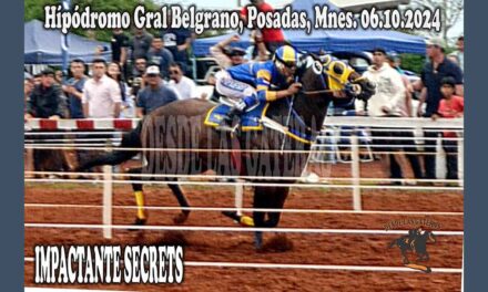 CAUSÓ EL IMPACTO DESEADO IMPACTANTE