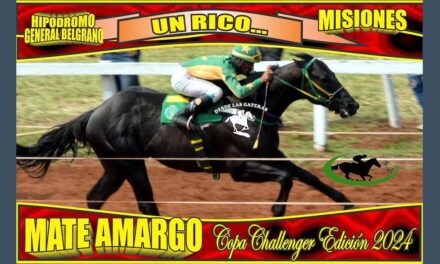 DE AMARGO ESTE MATE NO TUVO NADA