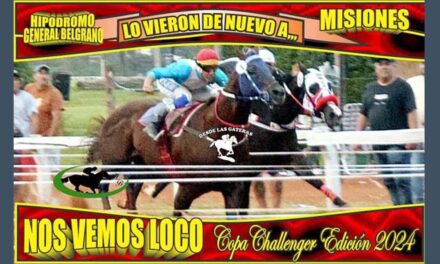 3 DE 3 EN POSADAS PARA NOS VEMOS LOCO