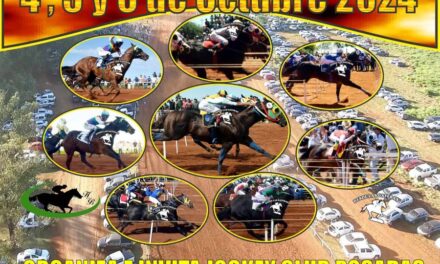 PREVIA DE COPA CHALLENGER 2024