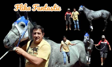 FLIKA FANTASTIC – LA PREVIA – COPA CHALLENGER 2024