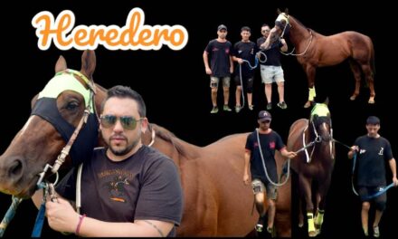 HEREDERO – LA PREVIA – COPA CHALLENGER 2024