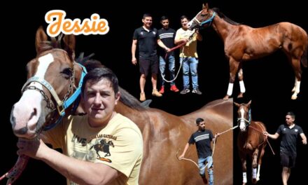 JESSIE – LA PREVIA – COPA CHALLENGER 2024