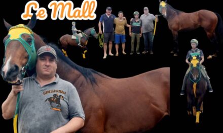 LE MALL – LA PREVIA – CAMINO A LA CHALLENGER