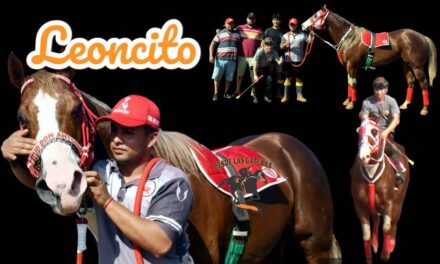 LEONCITO – LA PREVIA – COPA CHALLENGER 2024