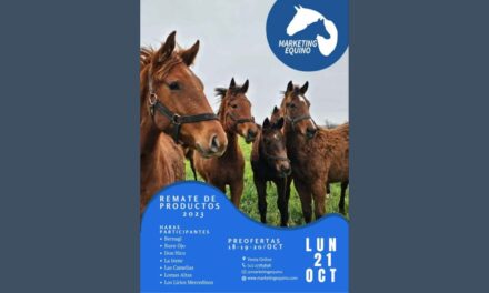 REMATES DE 5 POTRILLOS DEL HARAS BERNAGI