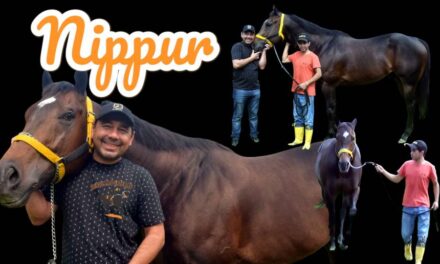 NIPPUR – LA PREVIA – COPA CHALLENGER 2024