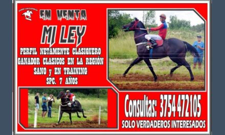EN VENTA MI LEY