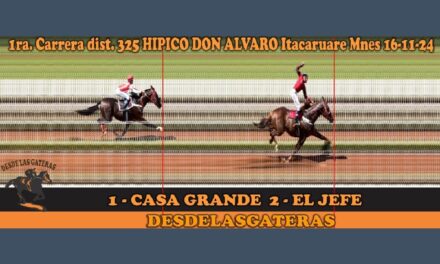 FOTOCHARTS Y RESULTADOS HÍPICO DON ALVARO – 16 DE NOVIEMBRE 2024