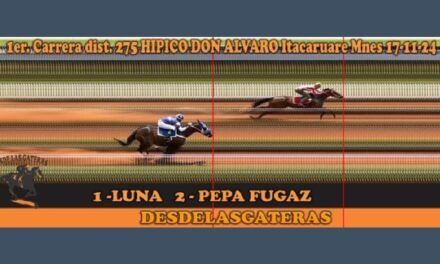 FOTOCHARTS Y RESULTADOS HÍPICO DON ALVARO – 17 DE NOVIEMBRE 2024