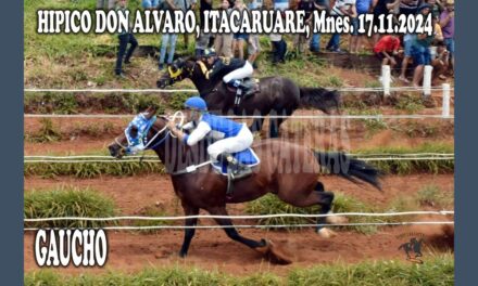 LES HIZO UNA GAUCHADA