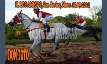 DON TOTO HIZO LOS DEBERES