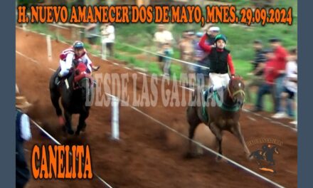 CANELITA ARRIBA, SIN PROBLEMAS