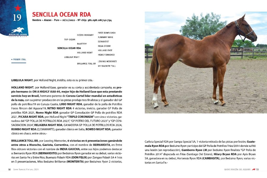 RINCON DEL AGUARA 07.12.2024 - 19