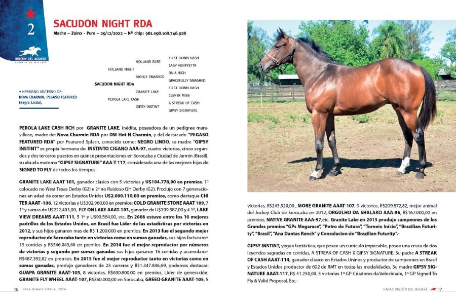 RINCON DEL AGUARA 07.12.2024 - 3