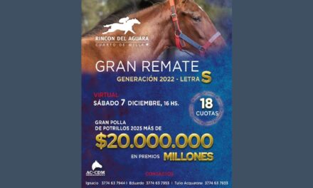 GRAN REMATE GENERACIÓN 2022, LETRA S – RINCÓN DEL AGUARA