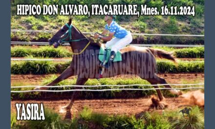 LA CRACK FUE YASIRA