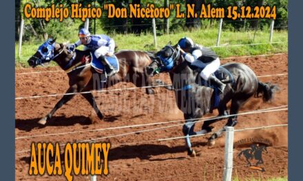 LAS AGALLAS DE AUCA QUIMEY