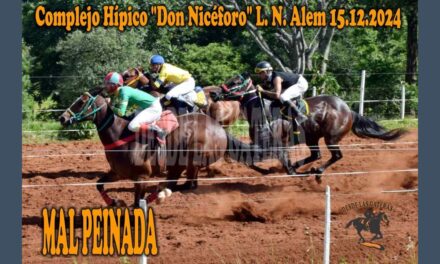 MAL PEINADA LO HIZO POSIBLE