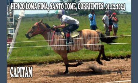 AL COMANDO UN CAPITÁN