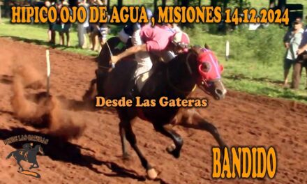 UN PINGO MUY BANDIDO