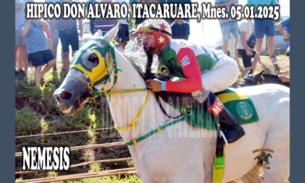 NÉMESIS HIZO ESTRAGOS