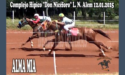 ALMA MÍA – HÍPICO DON NICÉFORO 12 DE ENERO 2025