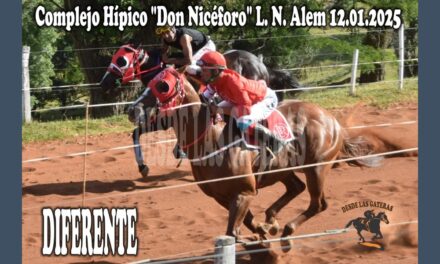 DIFERENTE – HÍPICO DON NICÉFORO 12 DE ENERO 2025