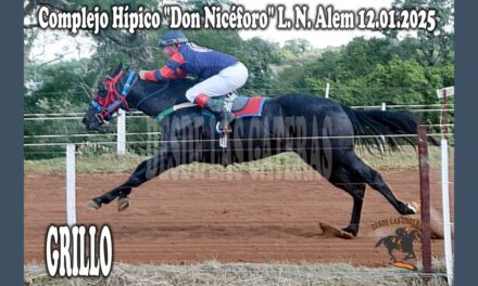 GRILLO – HÍPICO DON NICÉFORO 12 DE ENERO 2025
