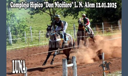 LUNA – HÍPICO DON NICÉFORO 12 DE ENERO 2025
