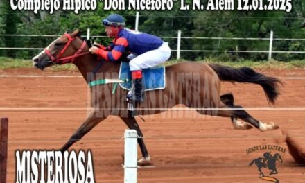 MISTERIOSA – HÍPICO DON NICÉFORO 12 DE ENERO 2025