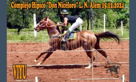 VIYU – HÍPICO DON NICÉFORO 15 DE DICIEMBRE 2024
