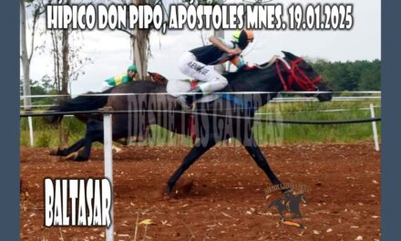 BALTASAR – HÍPICO DON PIPO 19 DE ENERO 2025