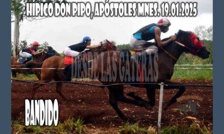 BANDIDO – HÍPICO DON PIPO 19 DE ENERO 2025