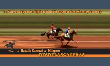 FOTOCHARTS Y RESULTADOS HÍPICO DON PIPO – 19 DE ENERO 2025