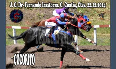 UNA BUENA VERSIÓN DE COCORITO