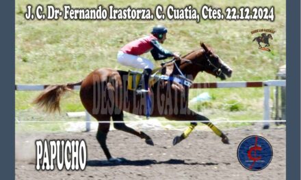 PAPUCHO DE MI VIDA! LE GRITARON