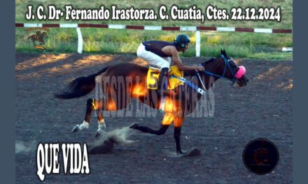 PERO… QUE VIDA!