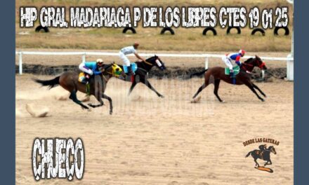 CHUECO – HÍPICO GENERAL MADARIAGA 19 DE ENERO 2025