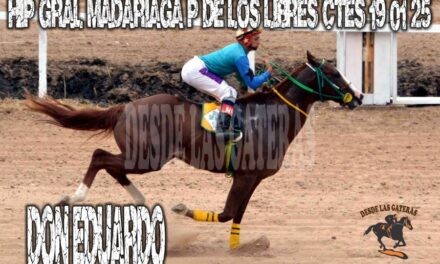 DON EDUARDO – HIPÓDROMO GENERAL MADARIAGA 19.01.2025