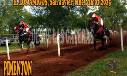 PIMENTÓN – HÍPICO LOS AMIGOS 26 DE ENERO 2025