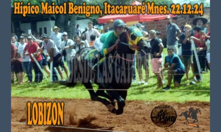 APARECIÓ EL LOBISÓN