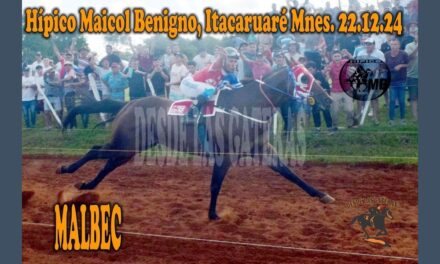 SE DESPIDIÓ EL AÑO CON UN BUEN MALBEC