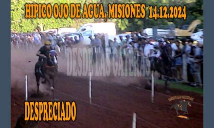 DESPRECIADO – HÍPICO OJO DE AGUA 14 DE DICIEMBRE 2024