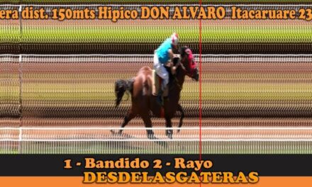 FOTOCHARTS Y RESULTADOS – HÍPICO DON ALVARO 23 DE FEBRERO 2025