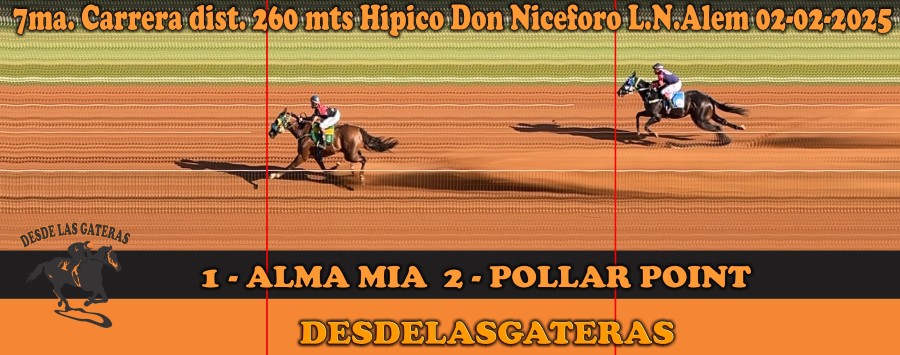 DON NICEFORO 02.02.2025 - FOTOCHART - 7