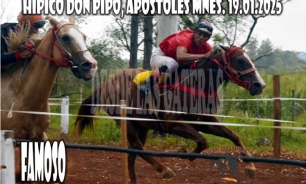 FAMOSO – HÍPICO DON PIPO 19 DE ENERO 2025