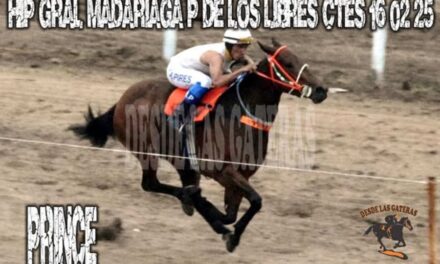 PRINCE – HIPÓDROMO GENERAL MADARIAGA 16 DE FEBRERO 2025