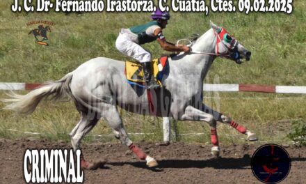 CRIMINAL – JOCKEY CLUB DR. FERNANDO IRASTORZA 9 DE FEBRERO 2025